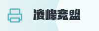 合作伙伴
